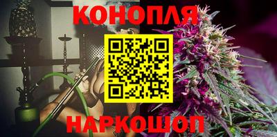 гидропоника Новозыбков