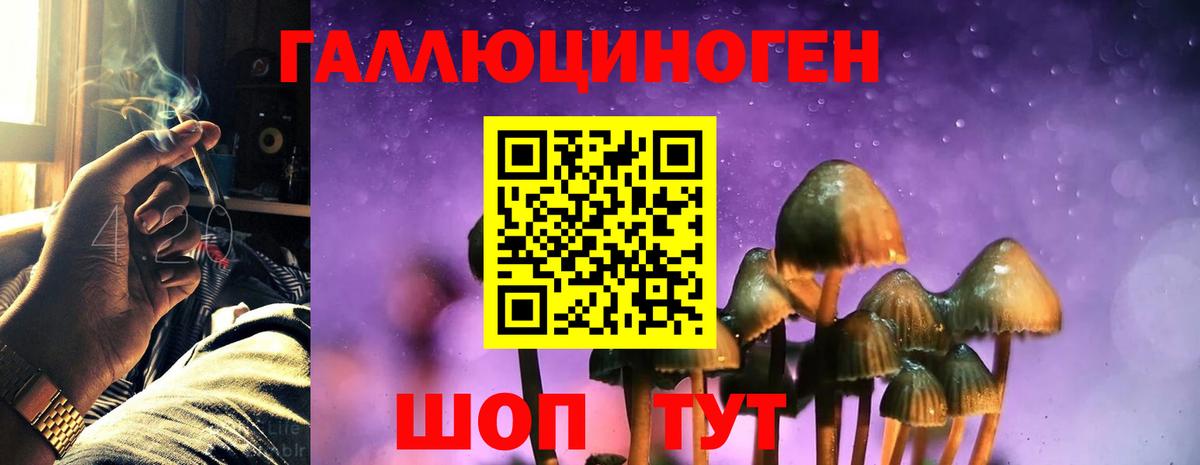 Галлюциногенные грибы Psilocybine cubensis  Вход с VPN  Топки 